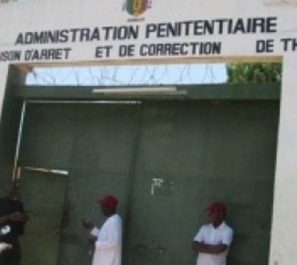 Thiès / Arnaque à QNet : 12 personnes déférés à la Mac dont 6 grands responsables