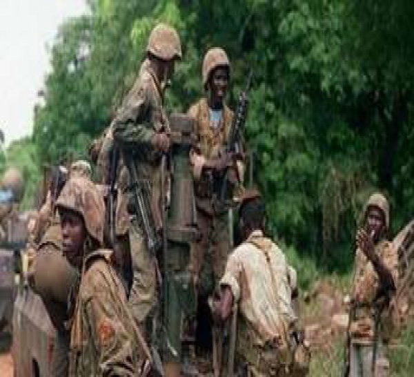 L'armée effectue des ratissages en Moyenne Casamance