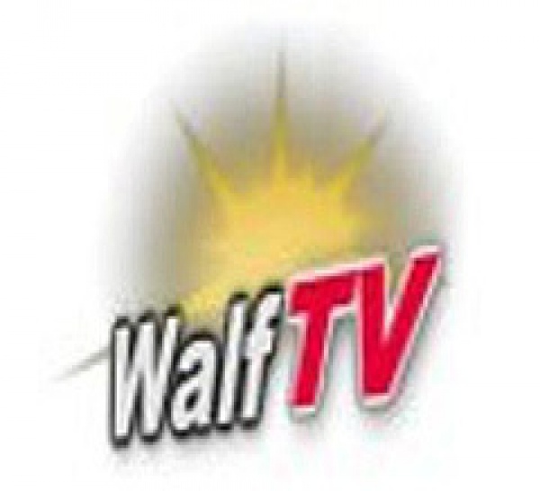Les faiblesses commerciales du groupe de presse Walf 