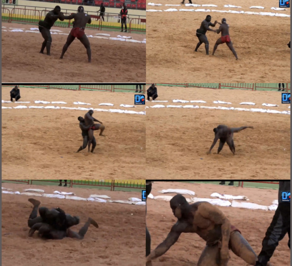 Lutte / Franc terrasse Nguer après une belle prise...
