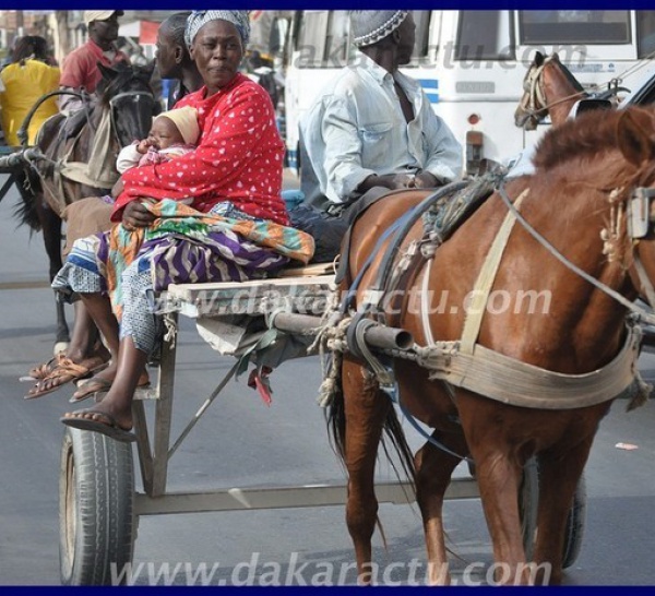 Sénégal new look: Sondéle, Puits, Sarétte... de retour dans nos comportements
