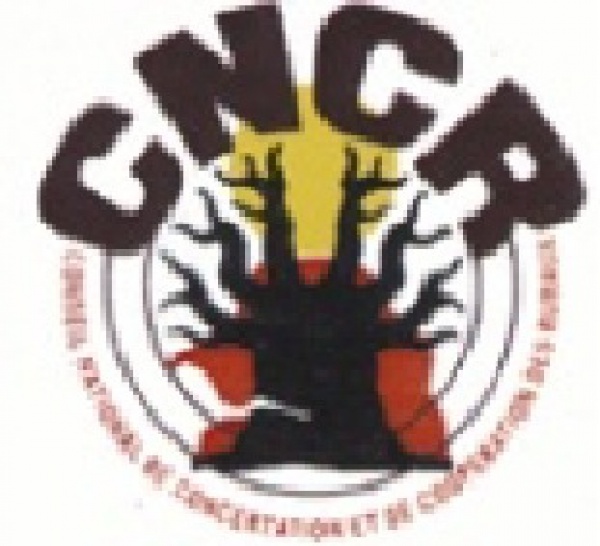 Babacar Cissé, conseiller en communication du CNCR: «La commercialisation a connu une baisse terrible.»
