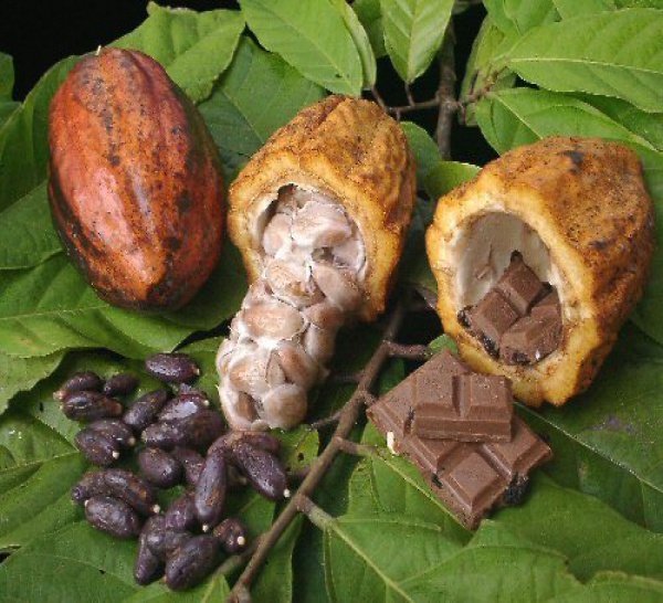 2012: Envolée des prix du cacao, du jus d'orange, des céréales, du soja, du café, de l'huile de palme, du coton... 