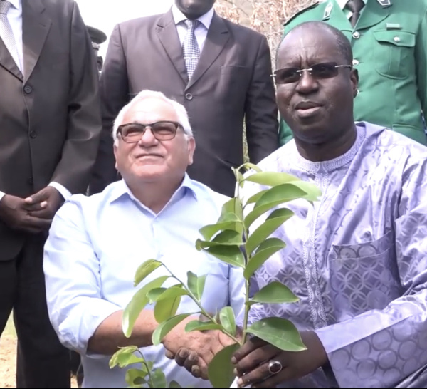 Abdou Karim Sall, Ministre de l'Environnement et du Développement durable : « Aujourd'hui, les grands équilibres écologiques sont sérieusement affectés... »