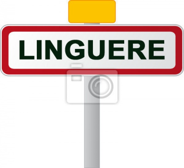 Linguère - Drame à Loumbelana : deux morts et un blessé grave dans la chute d’une dalle