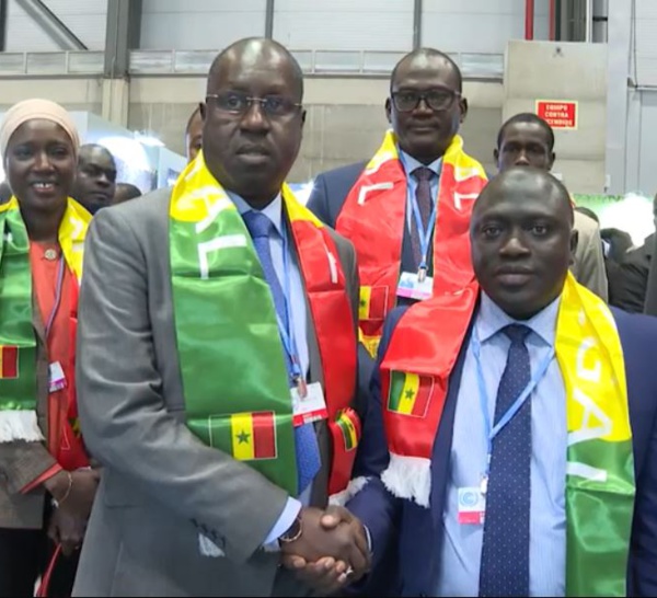 Cop 25 / Coupe du bois : Le ministre de l’environnement se déplacera en Gambie