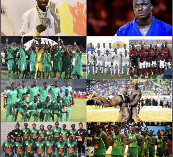 Rétro sport 2019 : Entre éclats et série de revers, les sportifs Sénégalais se sont diversement illustrés…