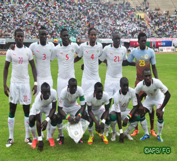 1-0 pour le Sénégal: but de Papis Demba Cissé.