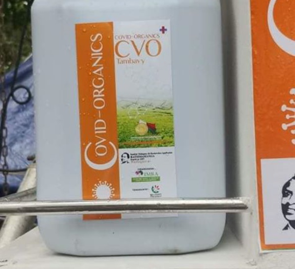 L'Artémisia, la tisane de Madagascar contre le COVID-19.