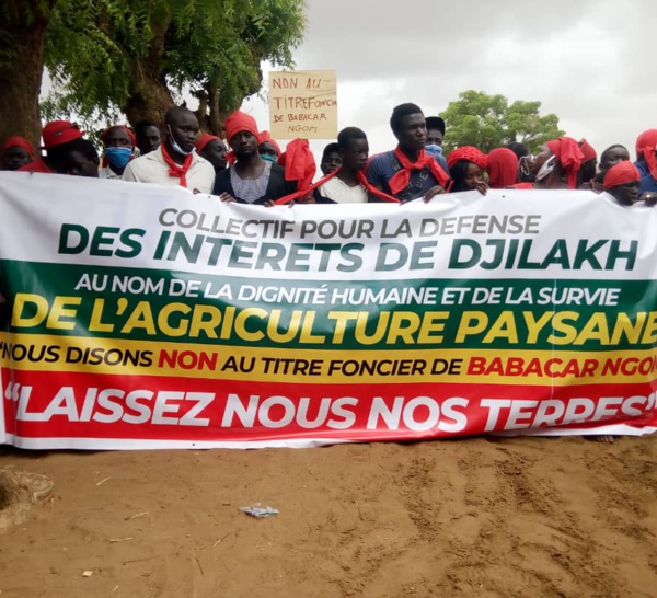 Foncier : Les populations de Djilakh tournent en dérision la conférence de presse de Babacar Ngom et appellent à une marche nationale à Dakar le 17 juillet.