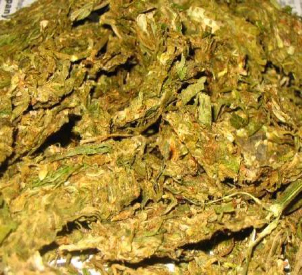 Joli coup de l'Ocrtis : 60 kilos de chanvre indien saisis à Nord Foire