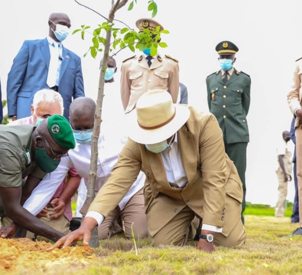 Journée Nationale de l’Arbre : « Le Baobab est un arbre fort, majestueux, presque millénaire… » (Macky Sall)