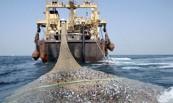 Secteur de la Pêche : Les acteurs interpellent le Président de la République