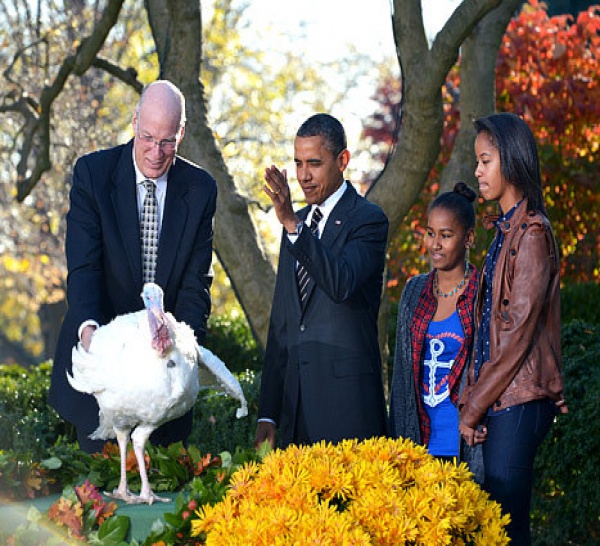 Le président Barack Obama a effectué la traditionnelle bénédiction de la dinde à l'approche de Thanksgiving. Il était accompagné de ses filles.