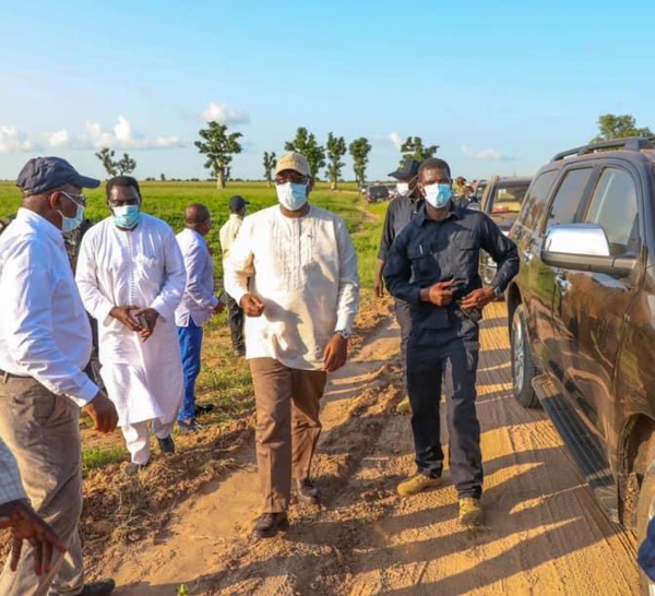 Macky Sall sur le traitement par la presse du rapport du département d'état sur les affaires au Sénégal : « Les américains n'ont pas critiqué, c'est une partie de la presse qui raconte n'importe quoi... Des gens ont décidé de saboter le pays »
