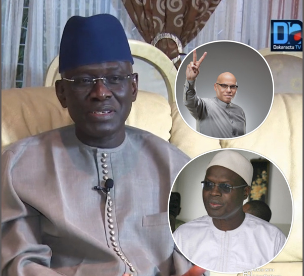 « Tant que Karim Wade et Khalifa Sall manquent à la chaîne politique du Sénégal, la démocratie restera impure et imparfaite » (Habib Sy, ancien ministre d'État)
