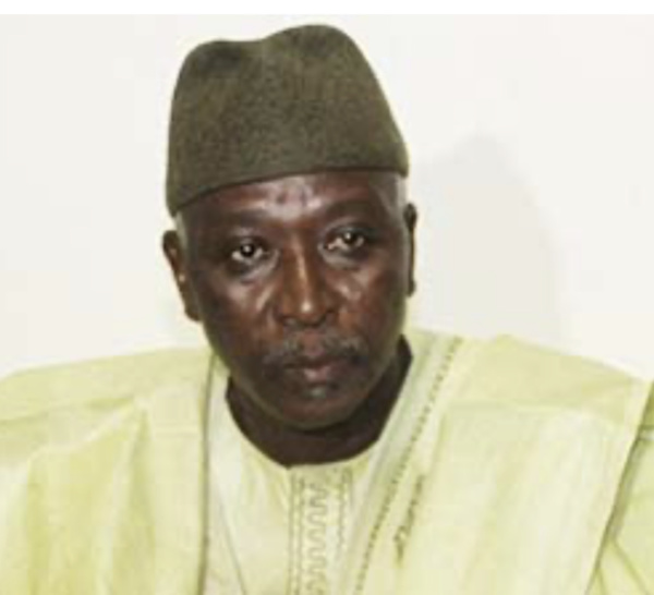 Transition au Mali : L’ancien ministre de la Défense, le Colonel major Ba N’daw désigné président, Assimi Goïta, 1er vice-président de la République.