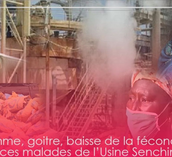 Asthme, goitre, baisse de la fécondité…morts : ces « malades » de l’Usine Senchim