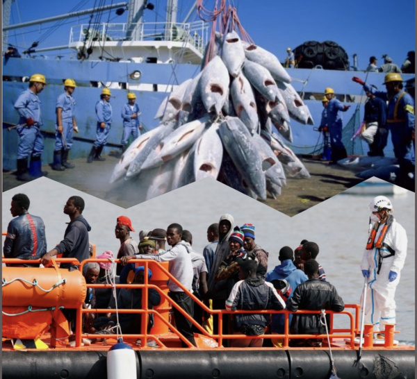 Accord de pêche renouvelé avec l’U.E : L’Espagne chasse les migrants sénégalais mais envoie 29 navires pêcher dans les eaux du Sénégal.