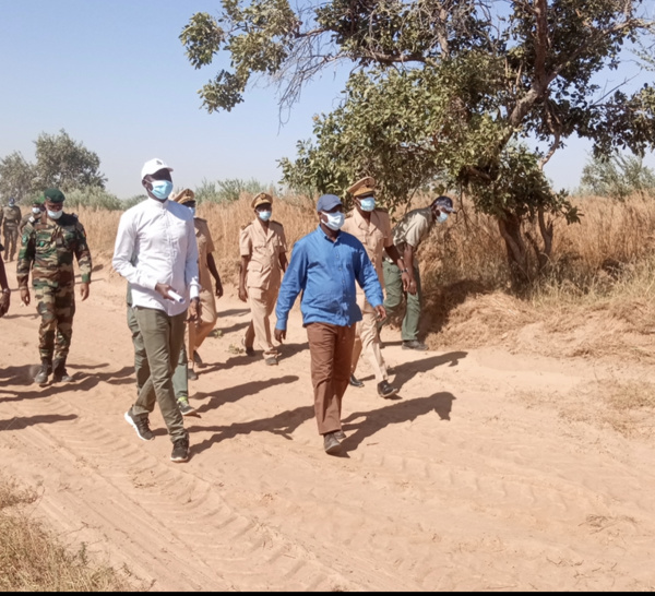 29 feux de brousse ravagent 5.491 ha cette année au Sénégal : Le MEDD appelle à la vigilance.