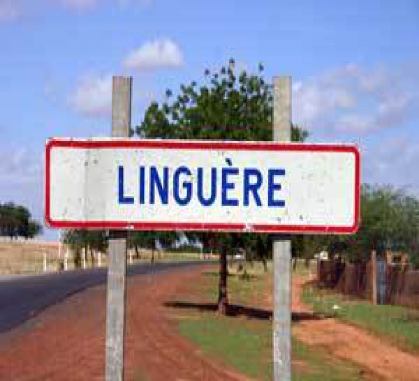 Linguère : Arrestation d’une bande de malfaiteurs composés d’ex militaires