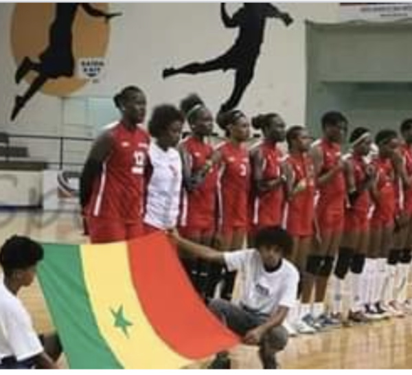 Volley-ball : Deux candidats en lice pour le fauteuil de la présidence de la fédération.