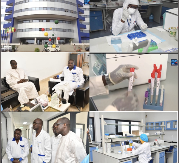 Détection du variant anglais du coronavirus : Le Sénégal dans une nouvelle phase de la lutte contre la COVID-19.
