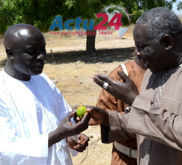 Voici l'intégralité de l'interview d'Idrissa Seck avec le groupe D- Média : « Rewmi dokhoul »