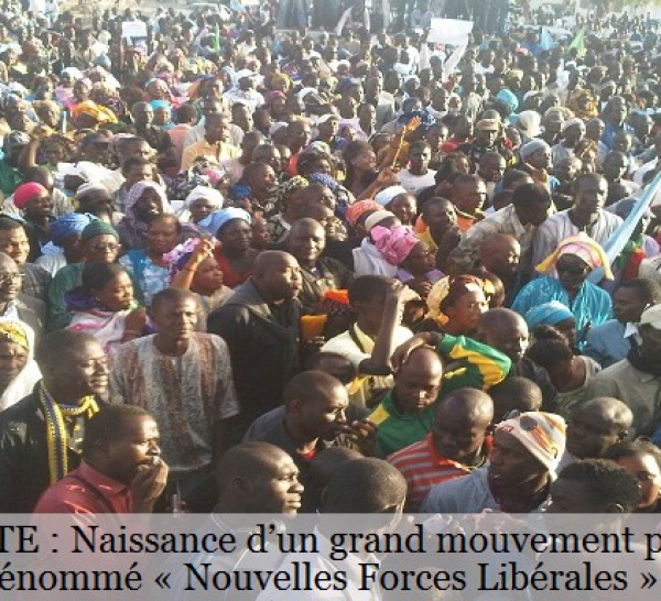 ACTUALITE : Naissance d’un grand mouvement politique national dénommé « Nouvelles Forces Libérales »