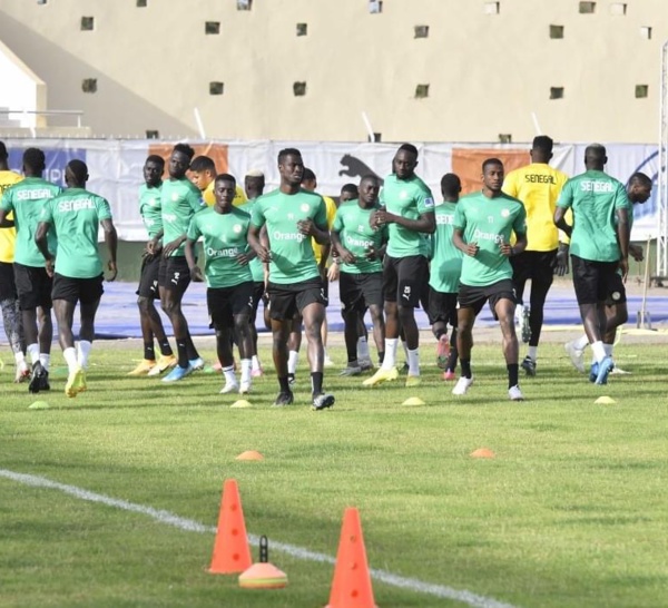 Qualificatifs mondial 2022 : Les lions en piste dès le mois de mai prochain…