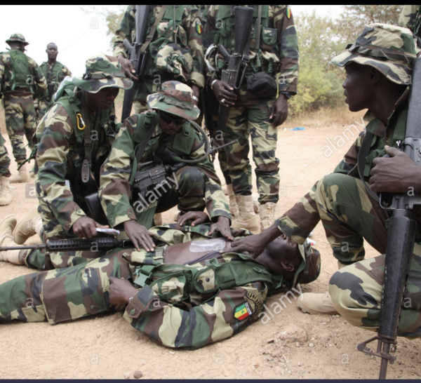 Société : retour sur quelques drames de sénégalais morts lors de leur formation militaire de 2013 à nos jours.