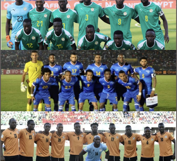 Football / Matchs amicaux : Les Lions affronteront la Zambie puis le Cap-Vert au mois de juin prochain.