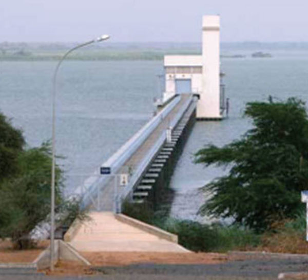 Dr Adrien COLY sur la crise de l’eau  : « Pareille situation pouvait être évitée. De très bonnes idées existent pour soulager la conduite du lac de Guiers. »  