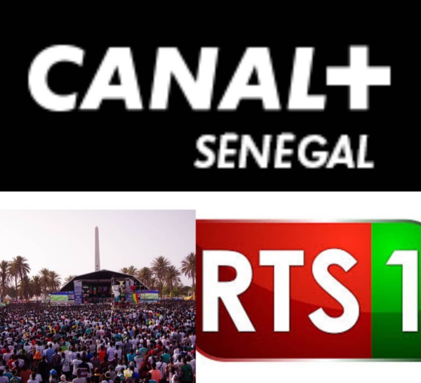 Organisation de Fan's Zone avec les Images de Canal + Sénégal : Un Signal d'illégalité selon la chaîne cryptée