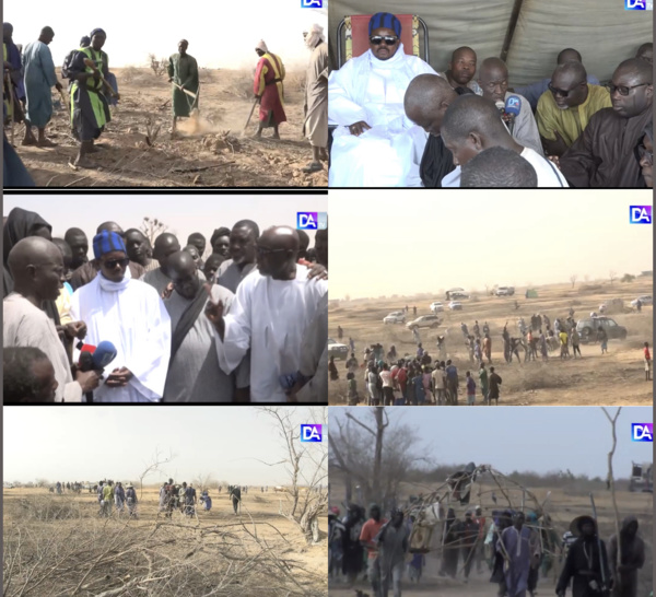 REPORTAGE À THIÉL / Cheikh Bass Abdou Khadre démarre l’hivernage 2022 avec une vaste opération de débroussaillage.