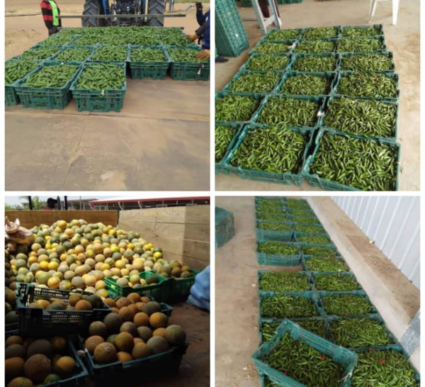 Dac de Keur Momar Sarr : 7 mois après, les fruits tiennent les promesses des fleurs (Photos)
