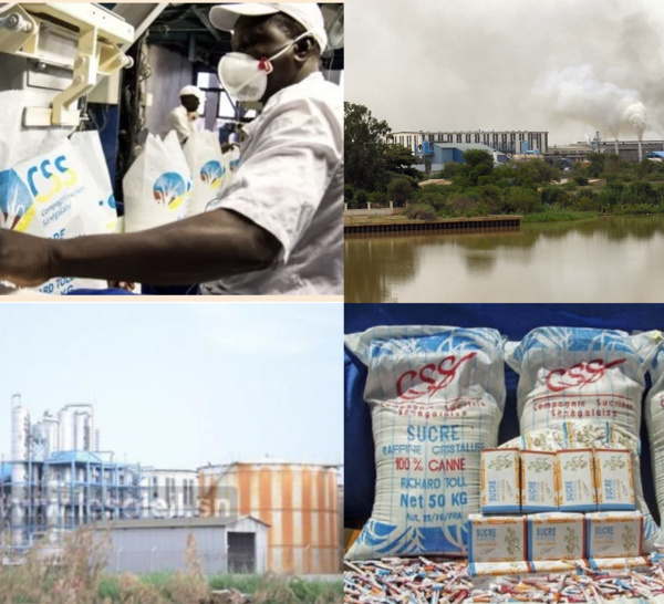 Économie : Gloire et déboires de la Compagnie Sucrière Sénégalaise, de sa création à nos jours.