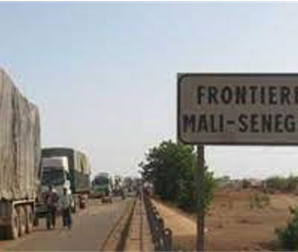 Circulation illégale de devises : un sénégalais et des maliens arrêtés à la frontière avec prés de 2 milliards de FCFA