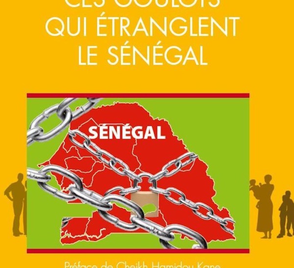 Note de présentation du livre de Cheikh Yérim Seck par l’éditeur 