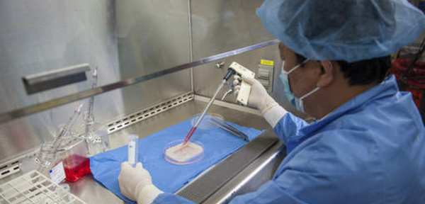 Des vagins créés en laboratoire implantés avec succès