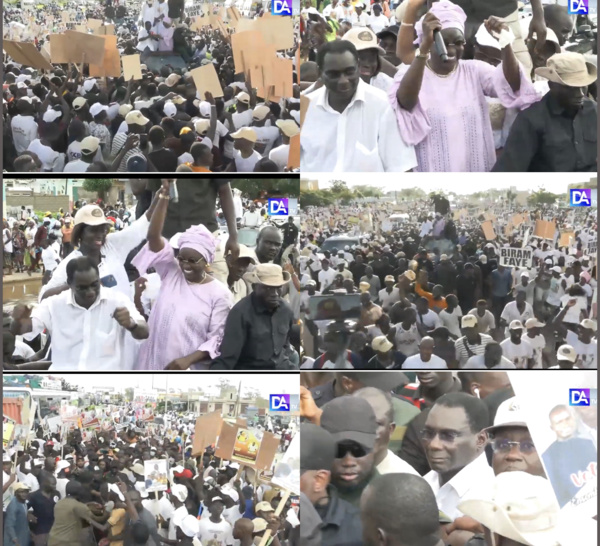 Accueil de Mimi Touré à Fatick : Cheikh Kanté étale sa force de mobilisation…