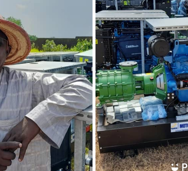 Agriculture/Filière banane : trois questions à Mohamed Mangane, opérateur économique à Tamba et membre de CORPROBAT.