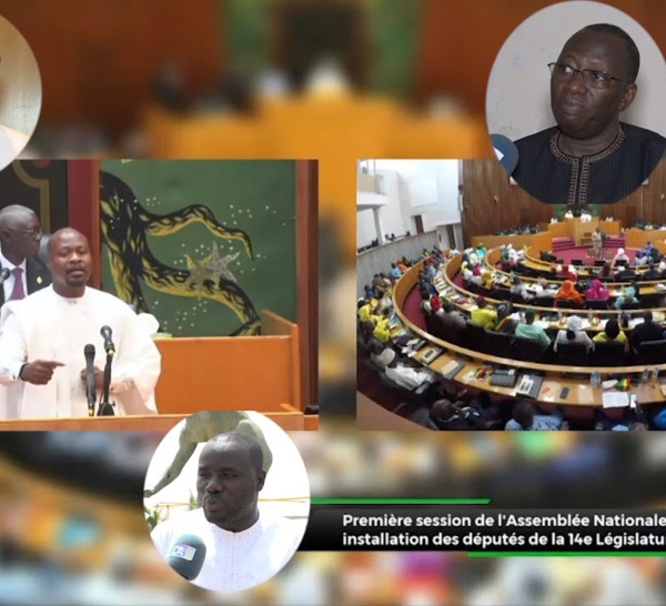 Assemblée nationale : la portée et les limites des avantages du député sénégalais. (Reportage)