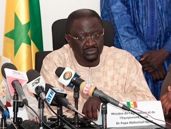Les mesures anticipatives prises par le Sénégal face au déficit pluviométrique