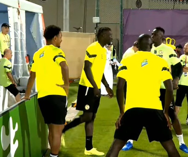 [🔴 DIRECT ] Suivez la premiere seance d'entrainement des Lions au Qatar...