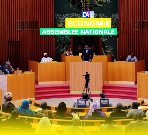 Assemblée nationale : le ministère du Développement industriel et des Petites et Moyennes Industries glane 244,197 milliards FCFA de budget.