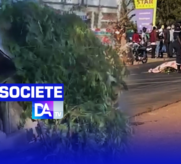 [ VIDEO ] Collision entre un Jakarta et un 4x4  : Les deux personnes à bord de la moto décèdent sur le coup