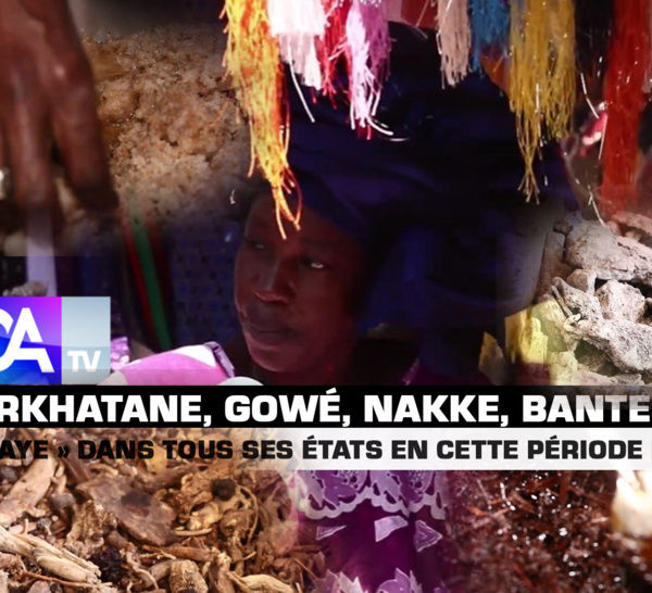 [ REPORTAGE ] Sarkhatane, gowé, nakke, bante tchad : le « Thiouraye » dans tous ses états en cette période de fraîcheur