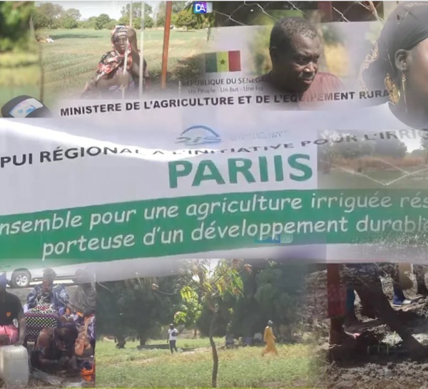 [ REPORTAGE ] Périmètre maraîcher de Toubacouta: de vieilles productrices dans la peau de jeunes travailleurs.