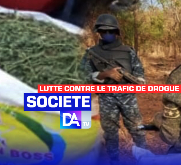 Lutte contre le trafic de drogue : 25 kg de chanvre indien saisis à Sédhiou.